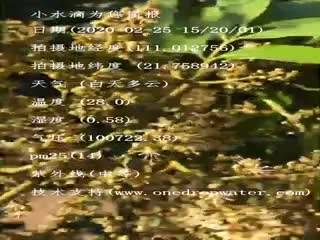 tmp_e84242f5e491476af231cca6da3de36d.mp4