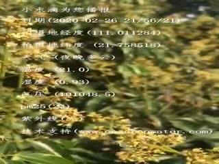 tmp_961a325cae6bb5239d7a07907a5be9bf.mp4