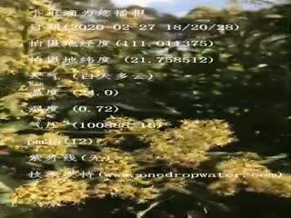 tmp_a1977433f98777a24f18da66b73ebeae.mp4