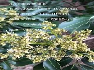 tmp_4b707f74677be462ada82c33d03e68cc.mp4