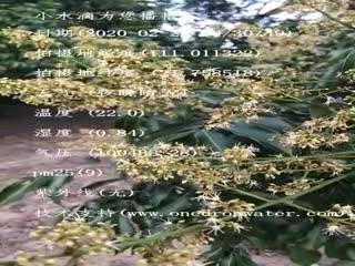 tmp_95cdaf9dcbb3683b66b960c1e63f2f5c.mp4