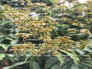 tmp_1bce3a82fa51bd95e4efc7e67c4b677d.mp4