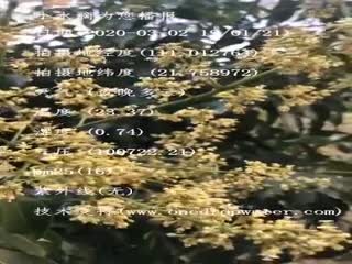 tmp_d1c53c1c6304db6b28aff77bf303958c.mp4