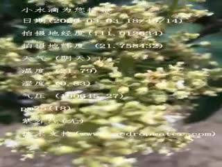 tmp_71bc1457a1df6b4b586f162e3813feff.mp4