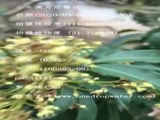 tmp_48a87187d7cee274da0904d1068c8a21.mp4