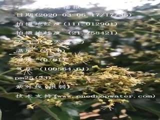 tmp_3fb96c543bd63afbe06dd740cfa3e4ed.mp4