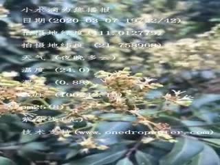 tmp_b0b17470b15719dfa0b274b6c4870f70.mp4