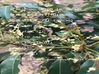 tmp_e71f2b2559e28e39a750ecd7edc4f5bb.mp4