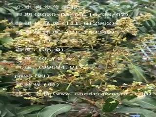 tmp_146ae79b8641930e65d5504f013695e8.mp4