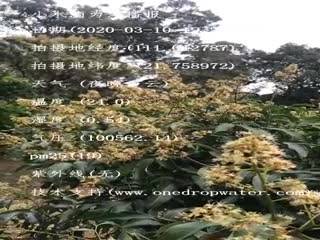 tmp_f214fe278efddf5fda0d0b0ade4d83fa.mp4