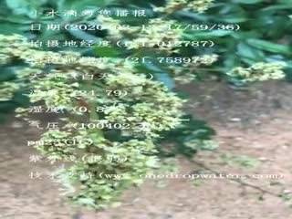tmp_8f2a7050f392fae73c051825b22bb6fa.mp4