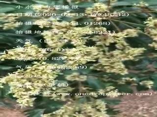 tmp_19c901622705b4d0126b400a5fbafddf.mp4
