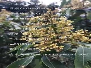 tmp_2a47b2b48a98da66f41b22c726223ab1.mp4
