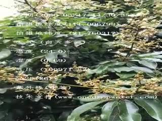 tmp_38e4ce08108c7b604a81c703f14ce28e.mp4