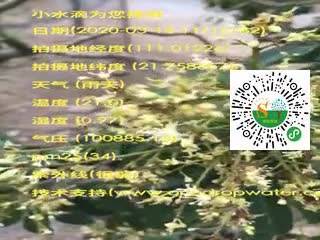 tmp_9b6d001f51881424e63025e535ff367b.mp4