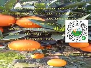 tmp_1049d2179d3c17633c9893fcebe64937cf02d9fc07e05824.mp4