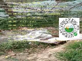 tmp_7050edcd325302e4b669d7dbff21921f121fc3dce7c11953.mp4