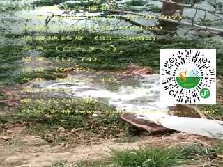 tmp_ae6547cd912d4615afcef129884db997e95bc32529f30f85.mp4