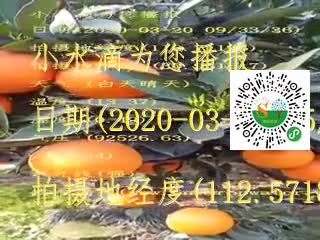 tmp_7f5b535f50fdadcc43e963fa6c2770bb389483d15bcfd137.mp4