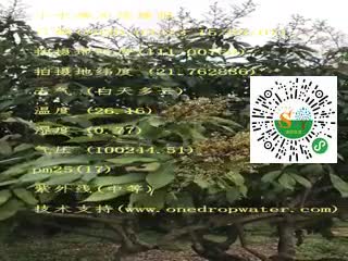 tmp_2ec35fe42c6d1397669135c24775ac3e.mp4