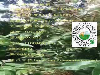 tmp_0193f7c098528b954736627b6593acdf.mp4