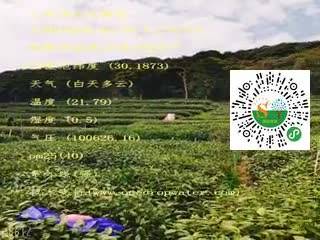 tmp_8e04e228c9dbfb4602c5858322180b9307be2660f8d588fa.mp4