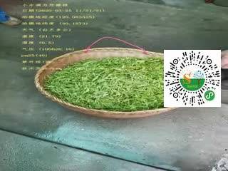 tmp_0351e4dac1ee5404773f26248febd13b16b3b052923d198c.mp4