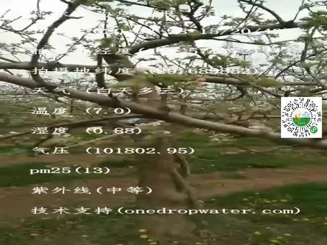tmp_b380b13cf113e2d662207711693852d6753872573f859a5f.mp4