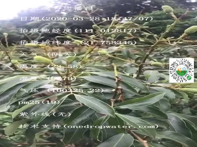 tmp_85e44010b5ec0c800fd46cd9dfc47c71.mp4