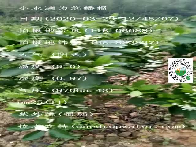 tmp_0ac890e283fdbb52121fe3890ac37f8b6e4315fe42db4df4.mp4