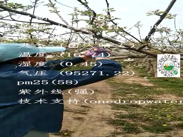 tmp_bfb0dfa4397957c319c81cc513494a578d0c4e31ef3e4c45.mp4