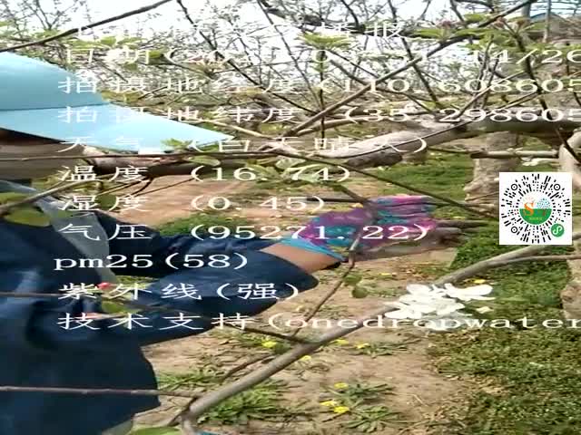 tmp_610a45fb2f39798d08f5f71970123f1bb4ddf480b3af11fc.mp4