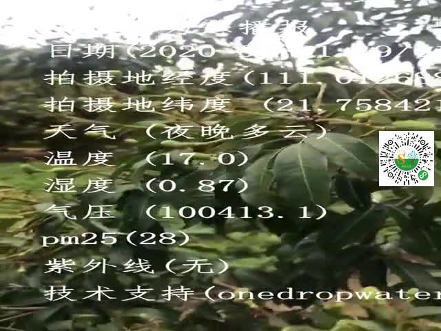 tmp_51ce19d0f83a55ac38f6cf708c5404b5.mp4
