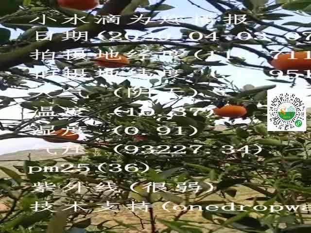 tmp_c42978fdef3d0db9ca3bec23a2f5e8f3f7a82776982ff245.mp4