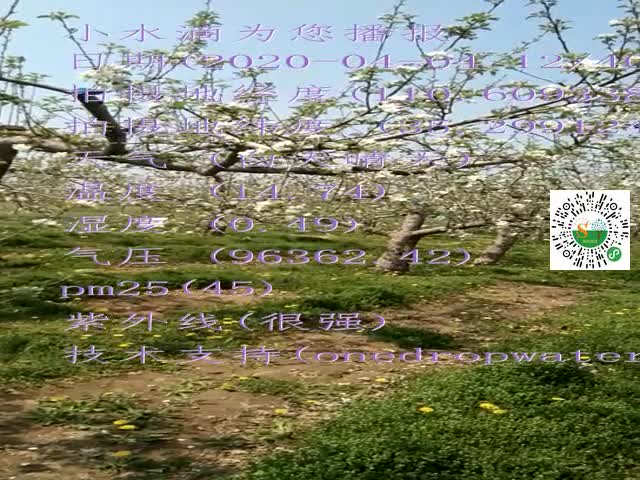 tmp_43365f14ba19dc279203a4377f6522a3cecf837ab101fbc6.mp4