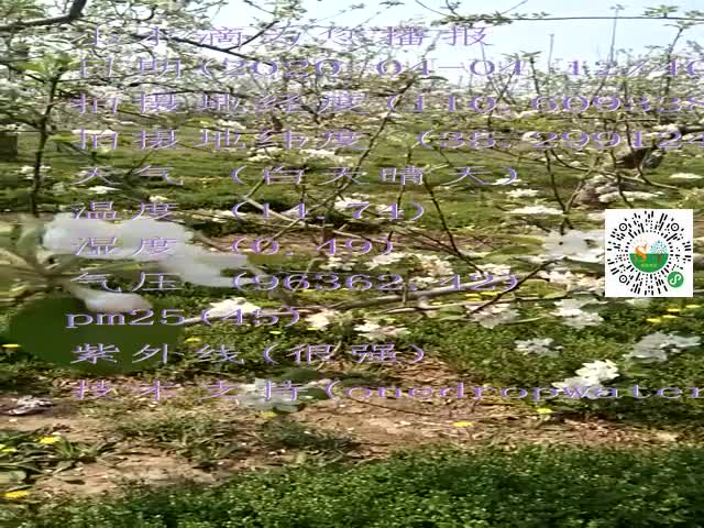 tmp_c8fb5127e33163112816c6d785d51e18c22da5be15973366.mp4