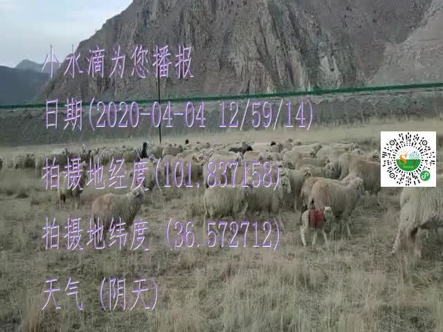 tmp_8ad7cb7f2e70bfaaf7aeeb5e28b964e5.mp4
