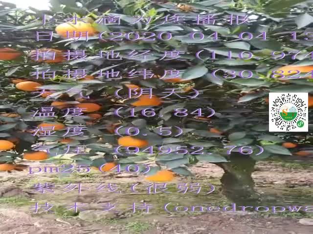tmp_28ecb4ca1b265ce6454cebd8006c9f1e48f79abf698a2e59.mp4