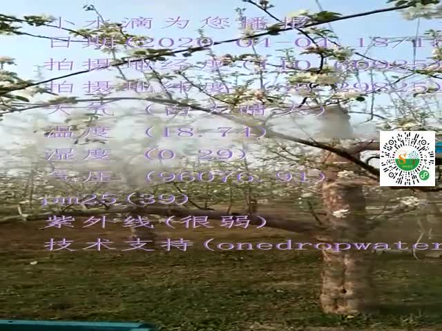 tmp_17ee9723645fec37ba9b3f182db00e2648f906cc32dea6f6.mp4