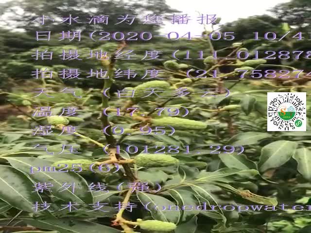 tmp_7418e6c8112284470f731a0b595c8487.mp4