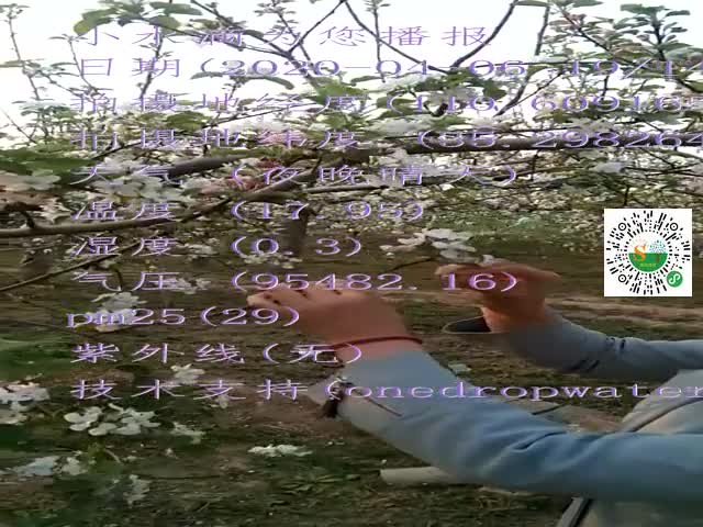 tmp_a607379abad6bf84752ea05aae55dc5f5f9eeac67557b0a7.mp4