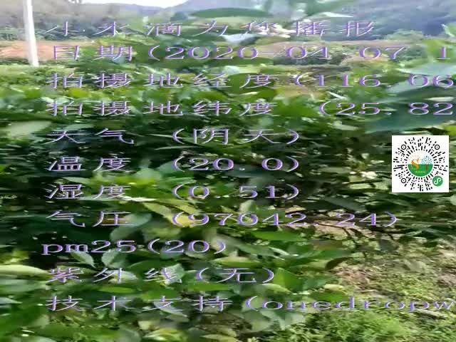 tmp_271ac52ecb46c77c52dcdff582314ad102aa2f4796e46f85.mp4