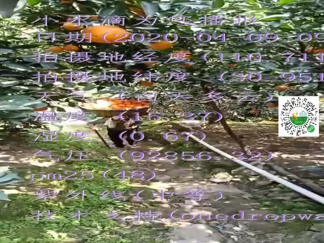 tmp_522cda751fad75b82d66cfaa48ade68c5692d439e7da374d.mp4