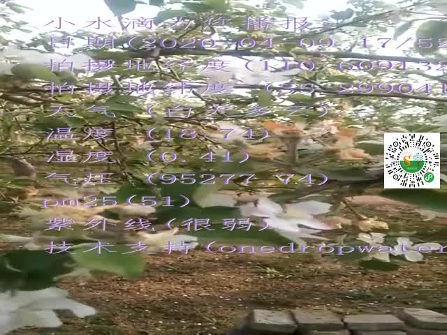 tmp_9d8ce4aae08dca12966a98f25a91eeffeb5dfc6d075f0e70.mp4