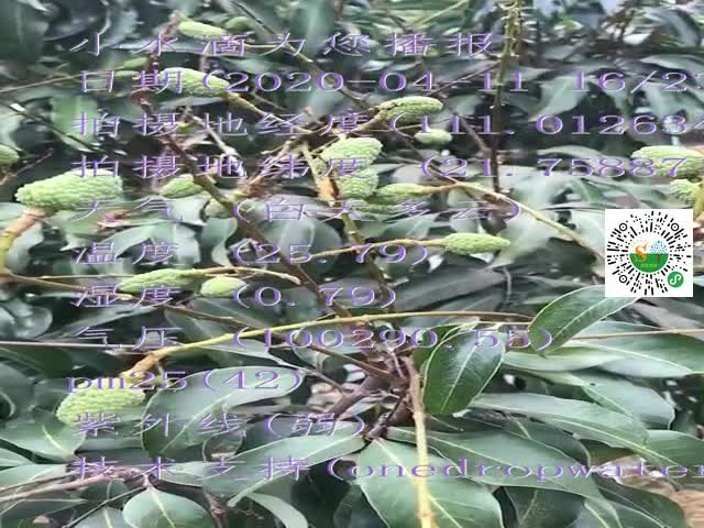 tmp_600369ac587c02025610424d8b55cbf2.mp4