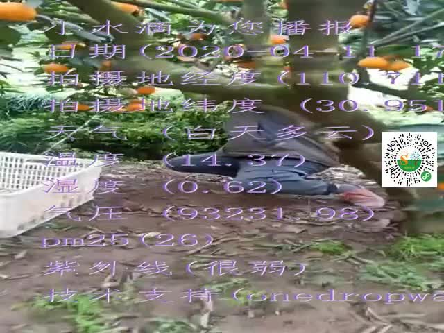 tmp_f9ca31b83878bf9a7851402821ff26b2b0c669bb0abdf722.mp4