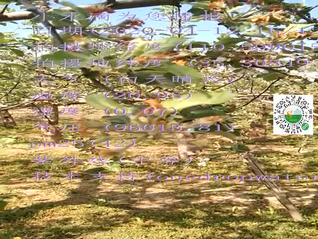 tmp_c920a9f3661e00f7d97751156245d7973998b9d7a80c96e6.mp4