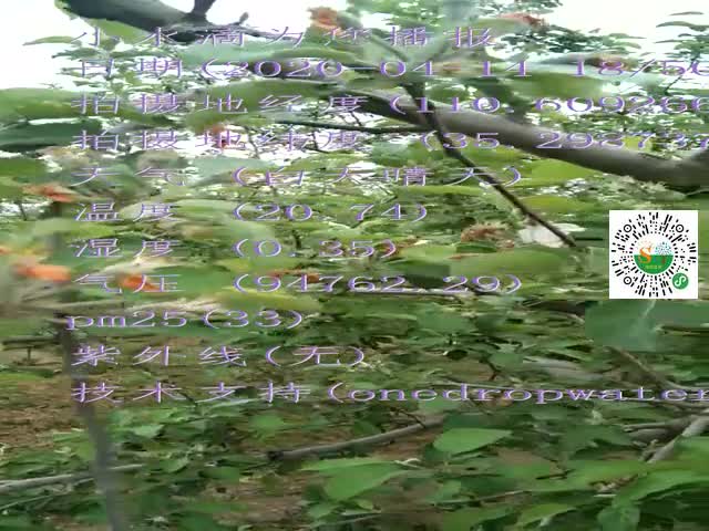tmp_67b6dd0faa922d4c5b9cb21502e35a3613c709101478687d.mp4