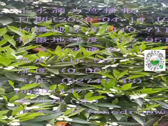 tmp_77e279be550d1f13c73ad065b6d327d157f45bd8e15ed85e.mp4