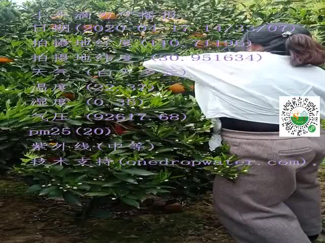 tmp_26bf538a5bcbd90f5dbc02f32445d480e3e521b18ff21e49.mp4